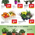 Antevisão Folheto LIDL Promoções de 21 a 27 setembro p24.jpg